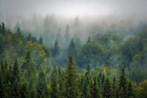 werbekueche_profitable_websites_schwarzwald